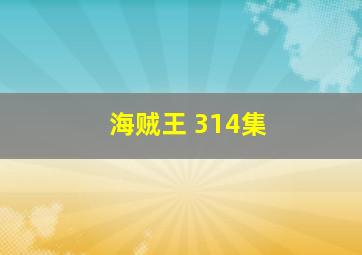 海贼王 314集